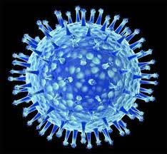 Что такое вакцина против гриппа? фото