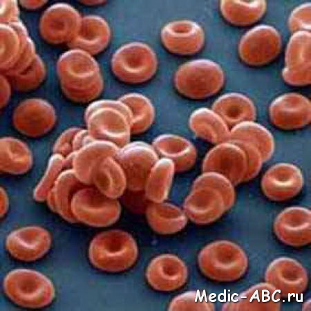 Что такое гемоглобин, для чего он нужен?