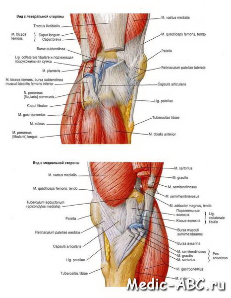 Как лечить растяжение связок колена